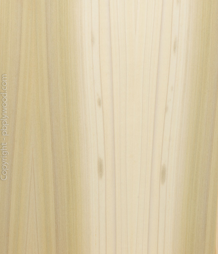 Poplar US Veneered Birch Plywood Peter Benson Plywood Ltd